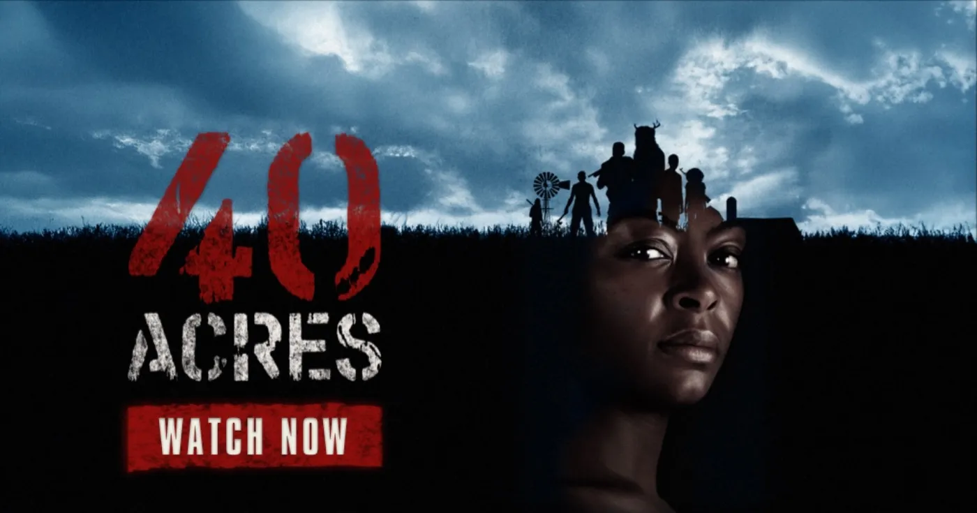 poster image